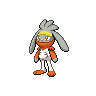Shiny Raboot